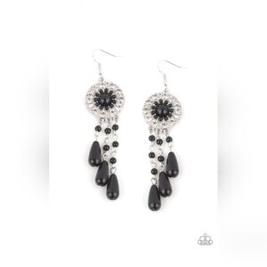 Paparazzi Dreams Can Come True Black Fish Hook Earrings